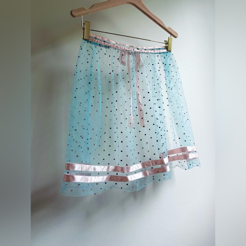 Vintage Blue And Pink Tule Apron Size S/XS